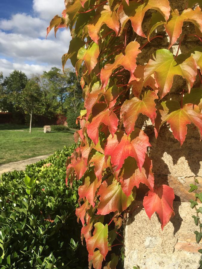 Bed and Breakfast Manoir De Jouralem Blaison Esterno foto